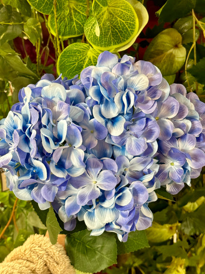 20.5 Inch Blue Hydrangea Bush