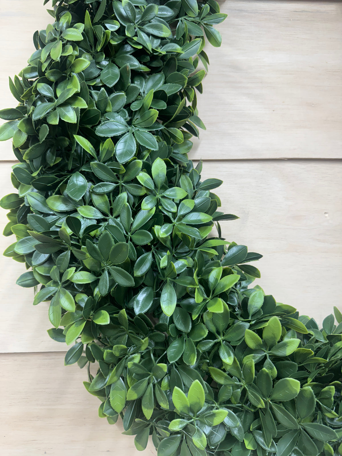 30 Inch Schefflera Oval Wreath