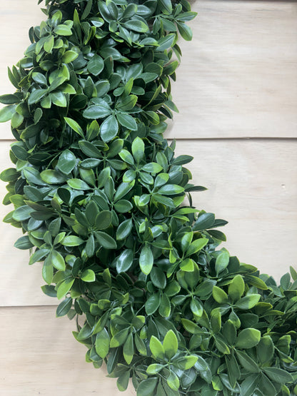 30 Inch Schefflera Oval Wreath