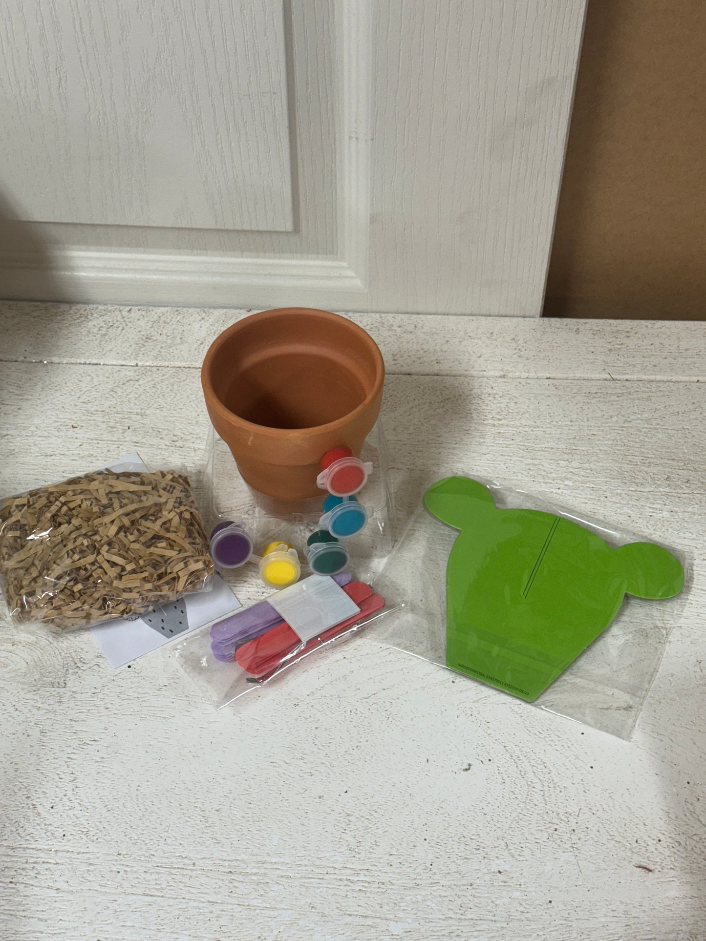 Paint Your Own Cactus Plant Kit