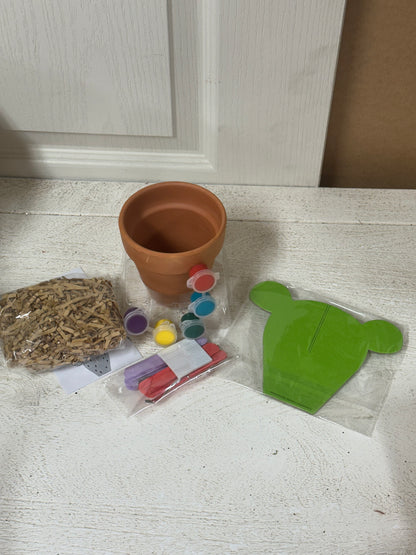 Paint Your Own Cactus Plant Kit