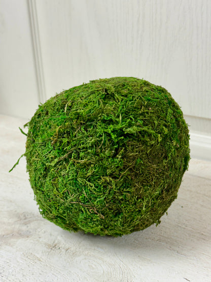 6 Inch Moss Ball