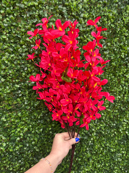 24 Inch Beauty Pink Tweedia Bush