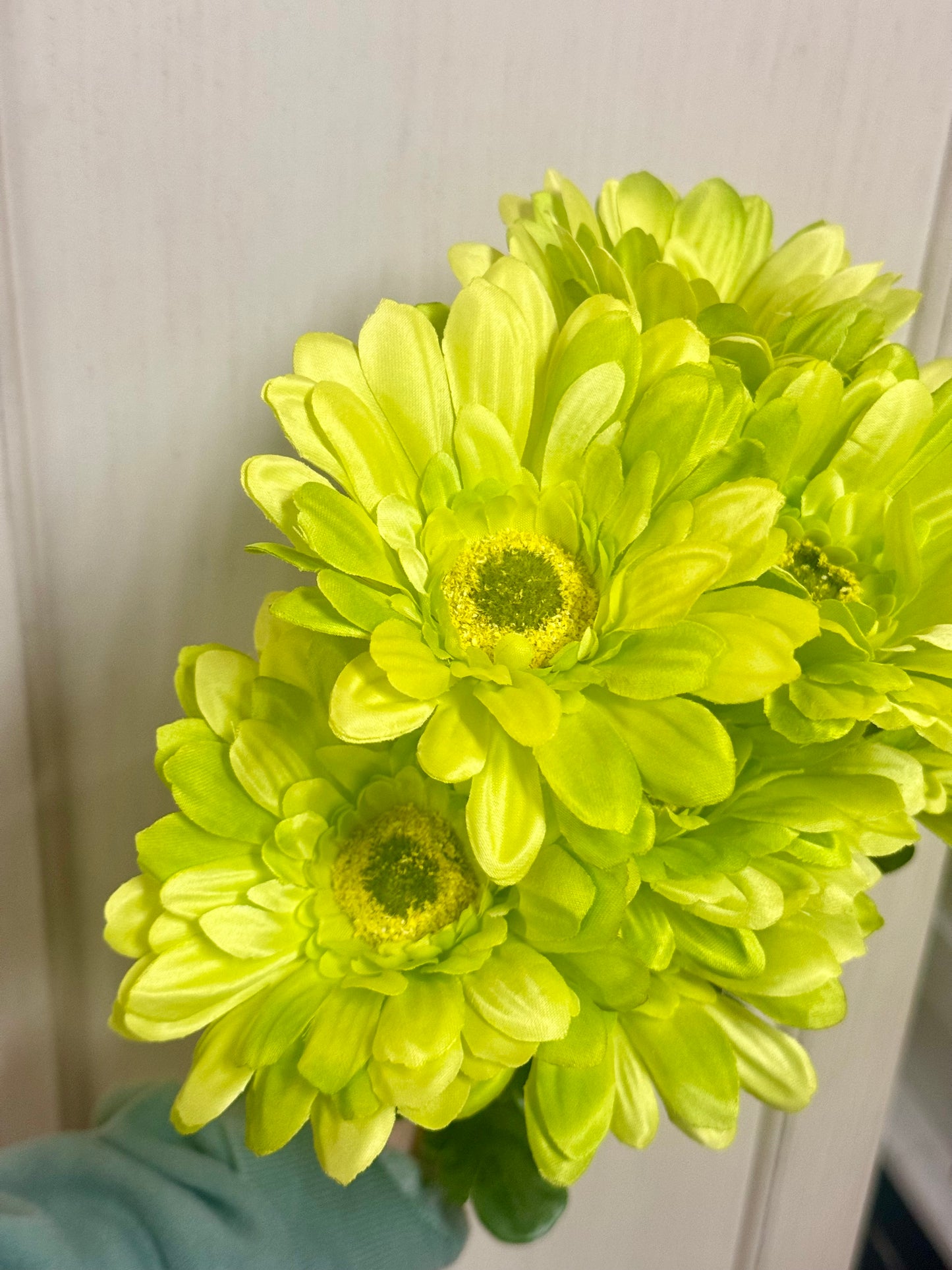 21 Inch Green Gerbera Daisy Floral Bush