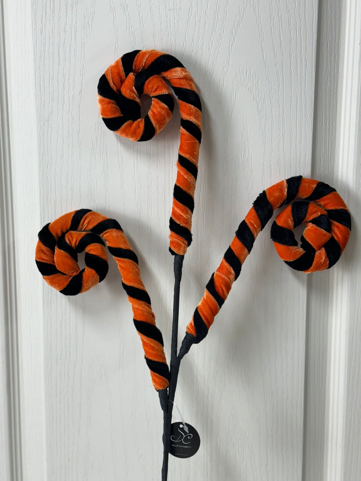 28 Inch Velvet Black And Orange Whimsy Curly Spray