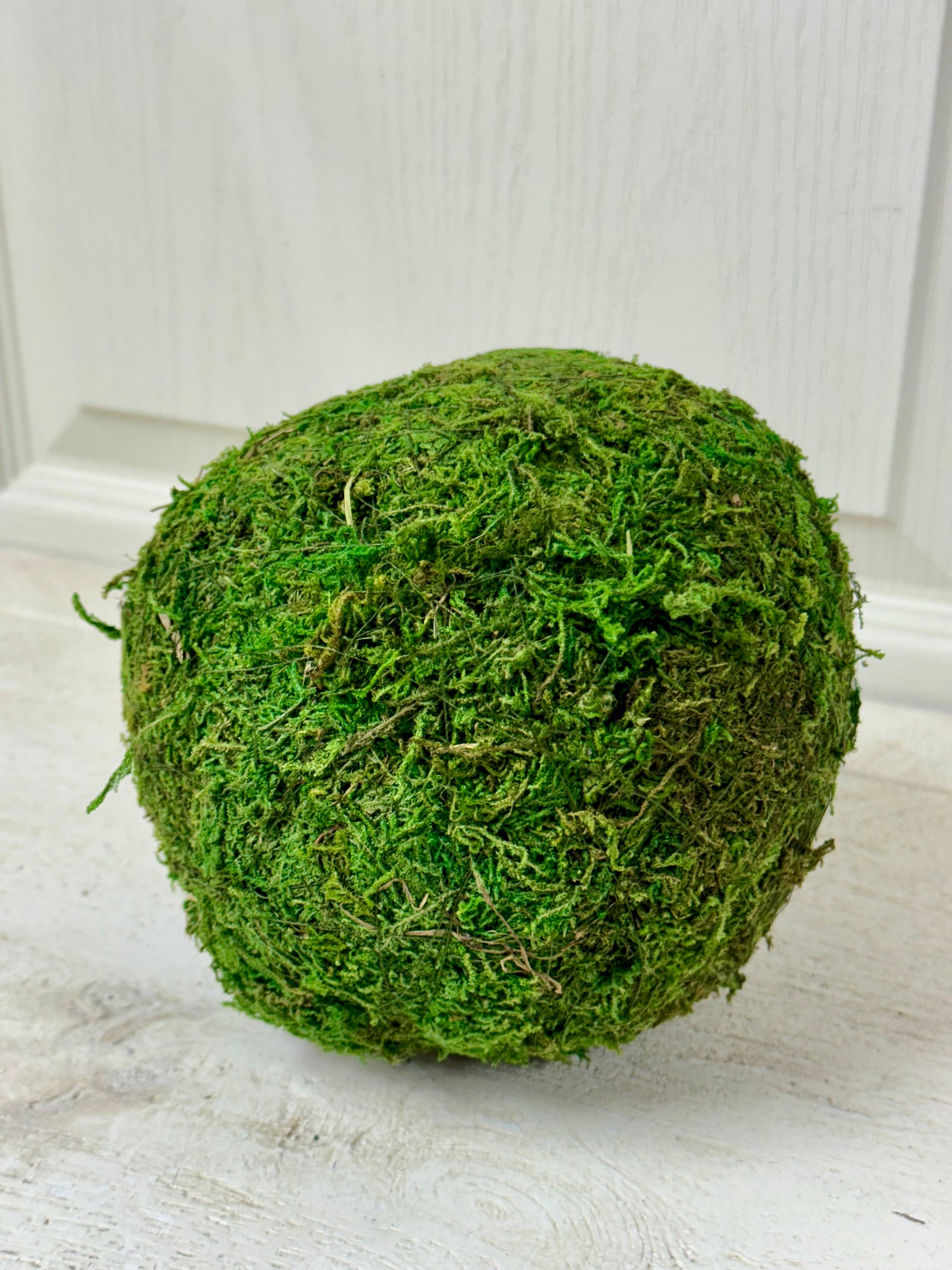 6 Inch Moss Ball