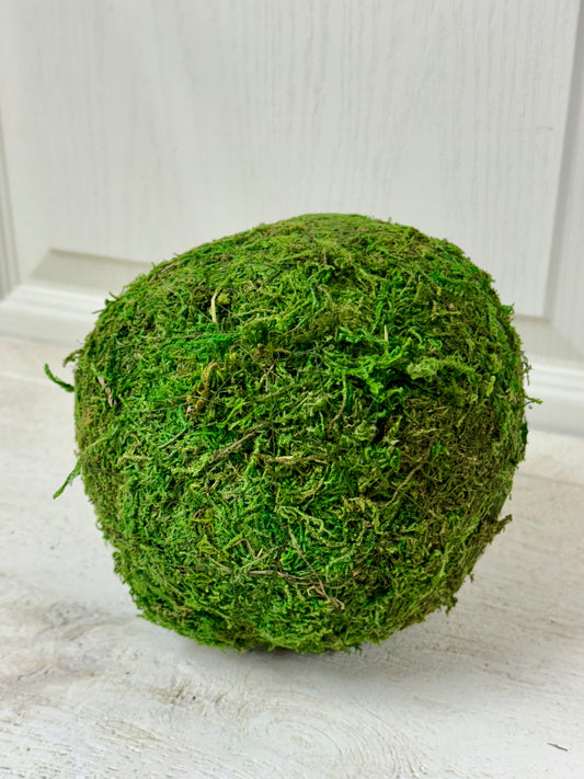 6 Inch Moss Ball