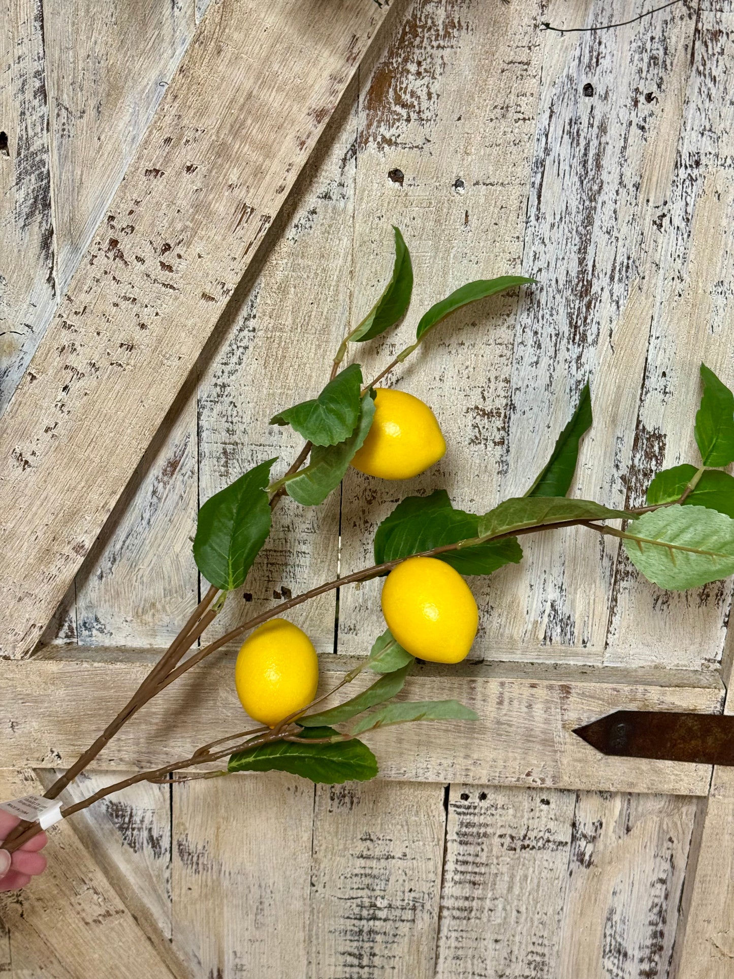 33.5 Inch Yellow Lemon Spray