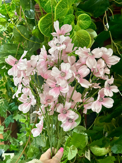 22 Inch Pink Dogwood Bush