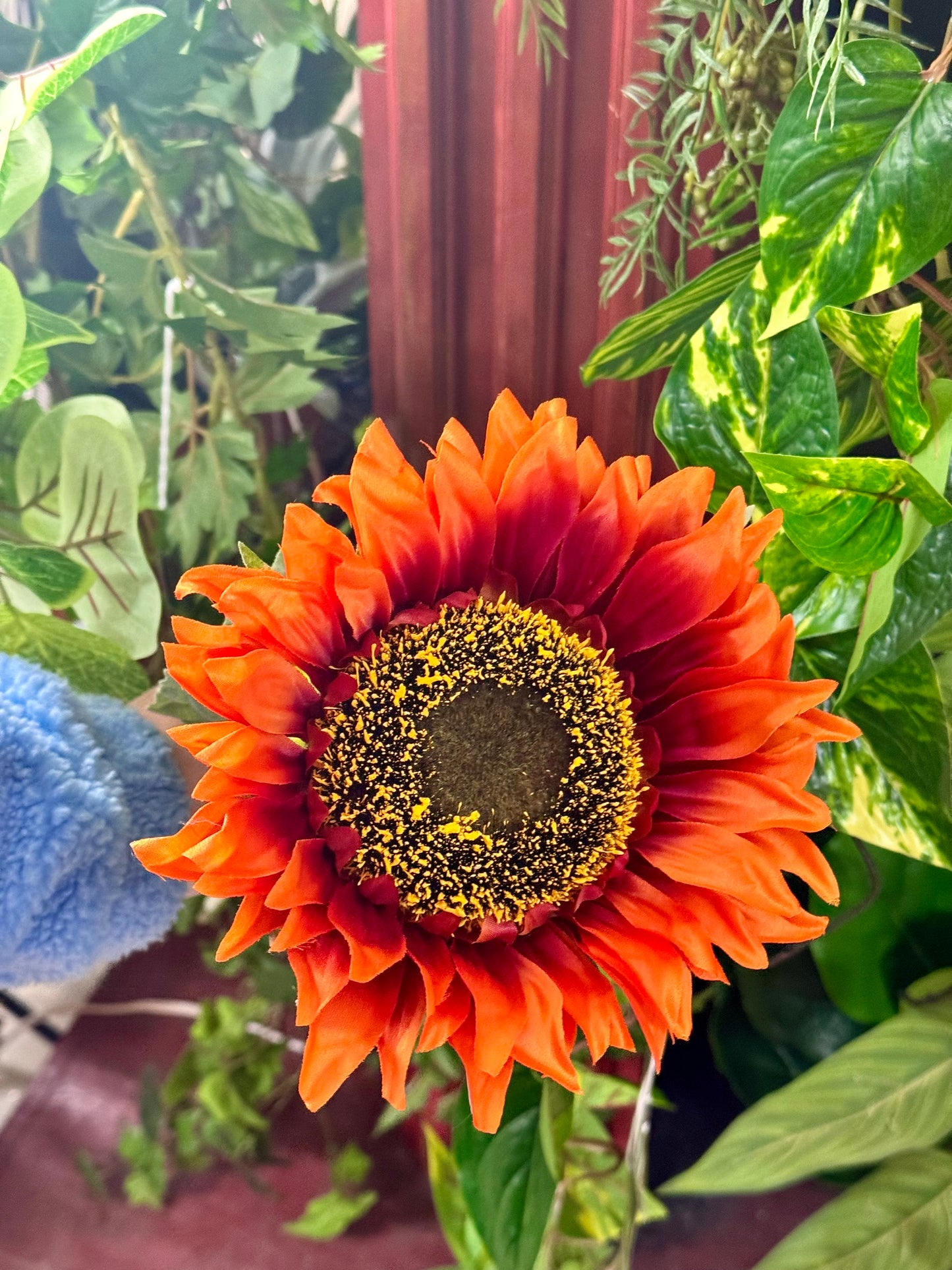 33 Inch Burnt Orange And Burgundy Sunflower Stem