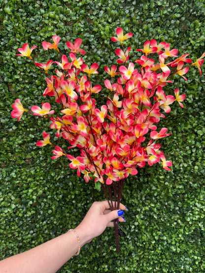 24 Inch Pink And Yellow Tweedia Bush