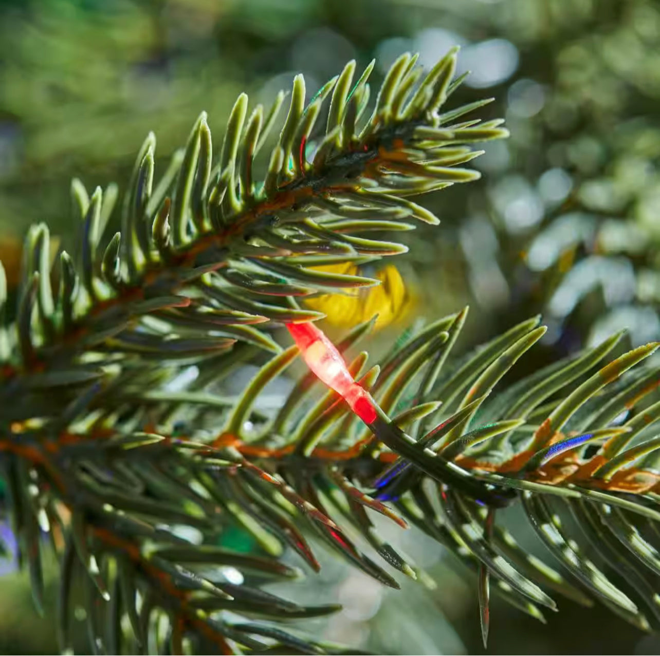 Home Accents Holiday 9 ft. Pre-Lit LED Jackson Noble Fir Artificial Christmas Tree Open Box