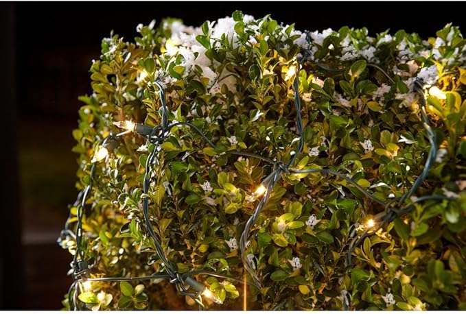 Home Accents Clear Incandescent Lights Open Box