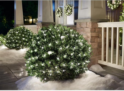 Home Accents Clear Incandescent Lights Open Box