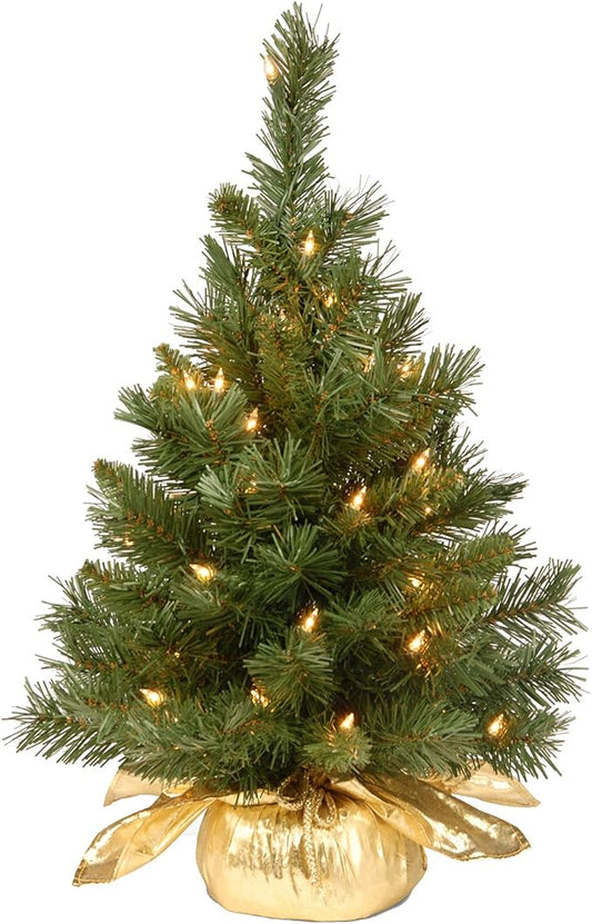 2 Foot National Tree Company Pre-Lit Majestic Fir Mini Artificial Christmas Tree Open Box