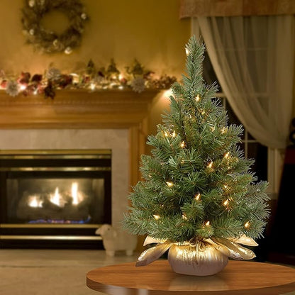 2 Foot National Tree Company Pre-Lit Majestic Fir Mini Artificial Christmas Tree Open Box