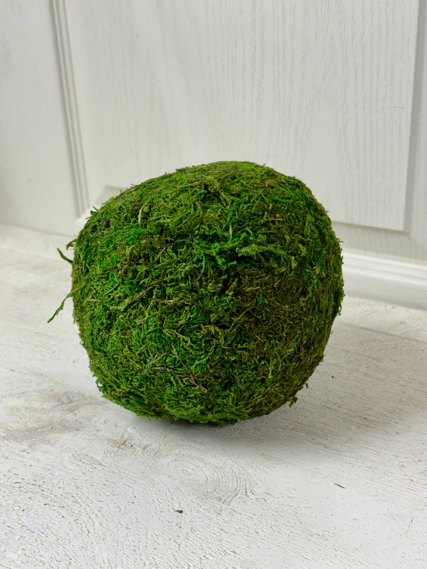 6 Inch Moss Ball