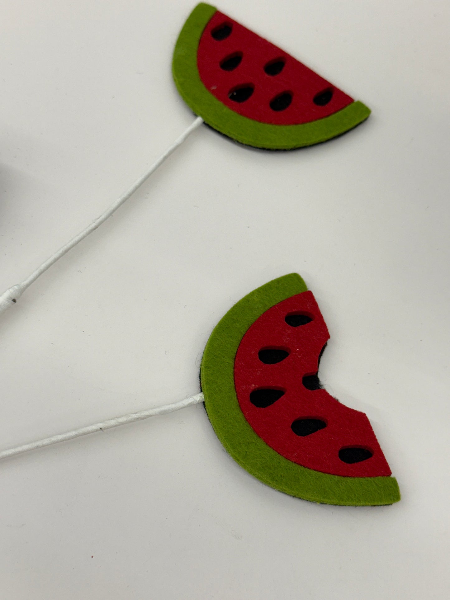 23.5 Inch Watermelon Felt Spray