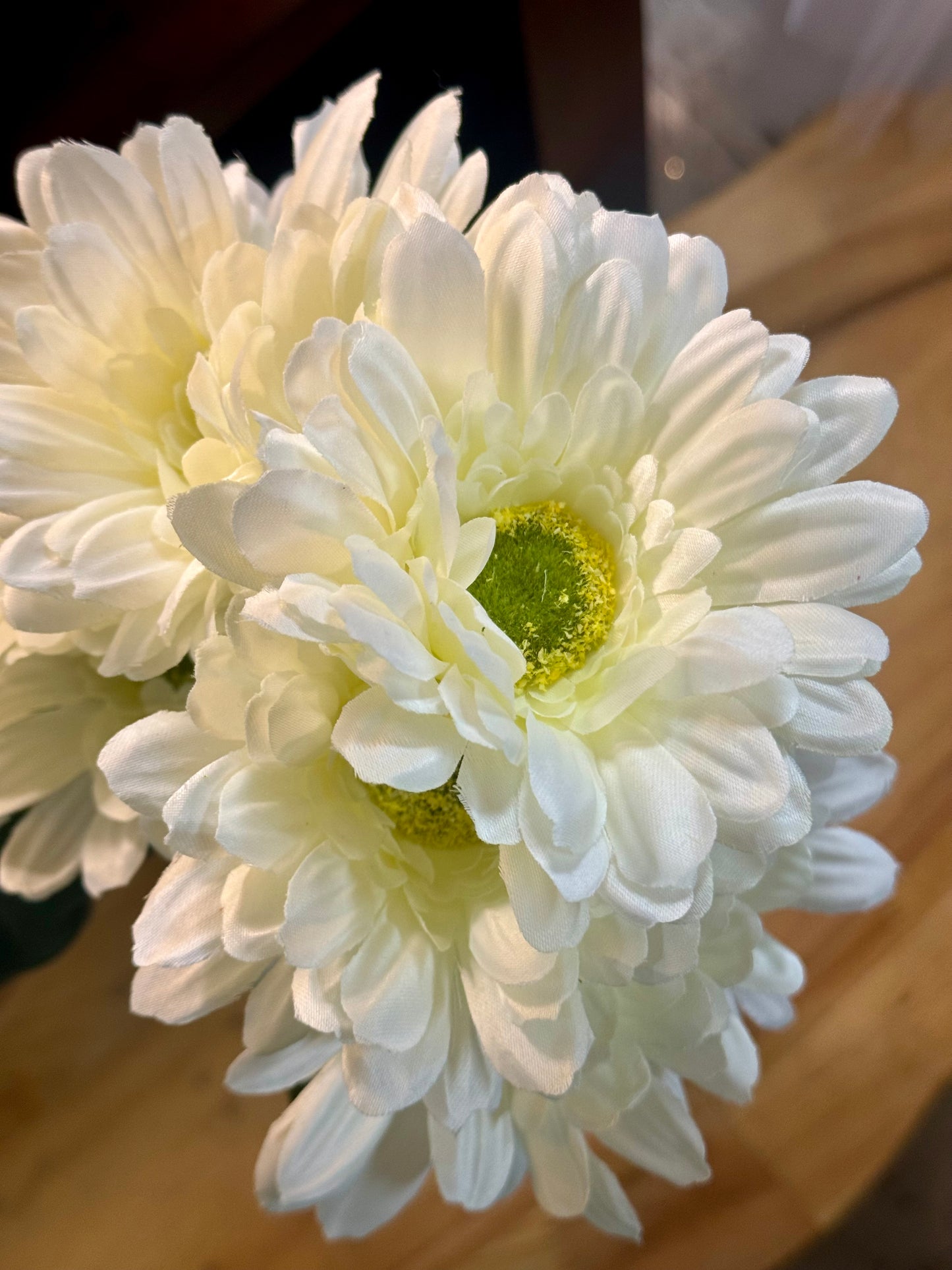 21 Inch Cream Gerbera Daisy Floral Bush