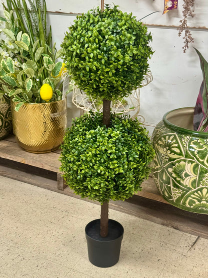 34 Inch Boxwood Topiary Tree
