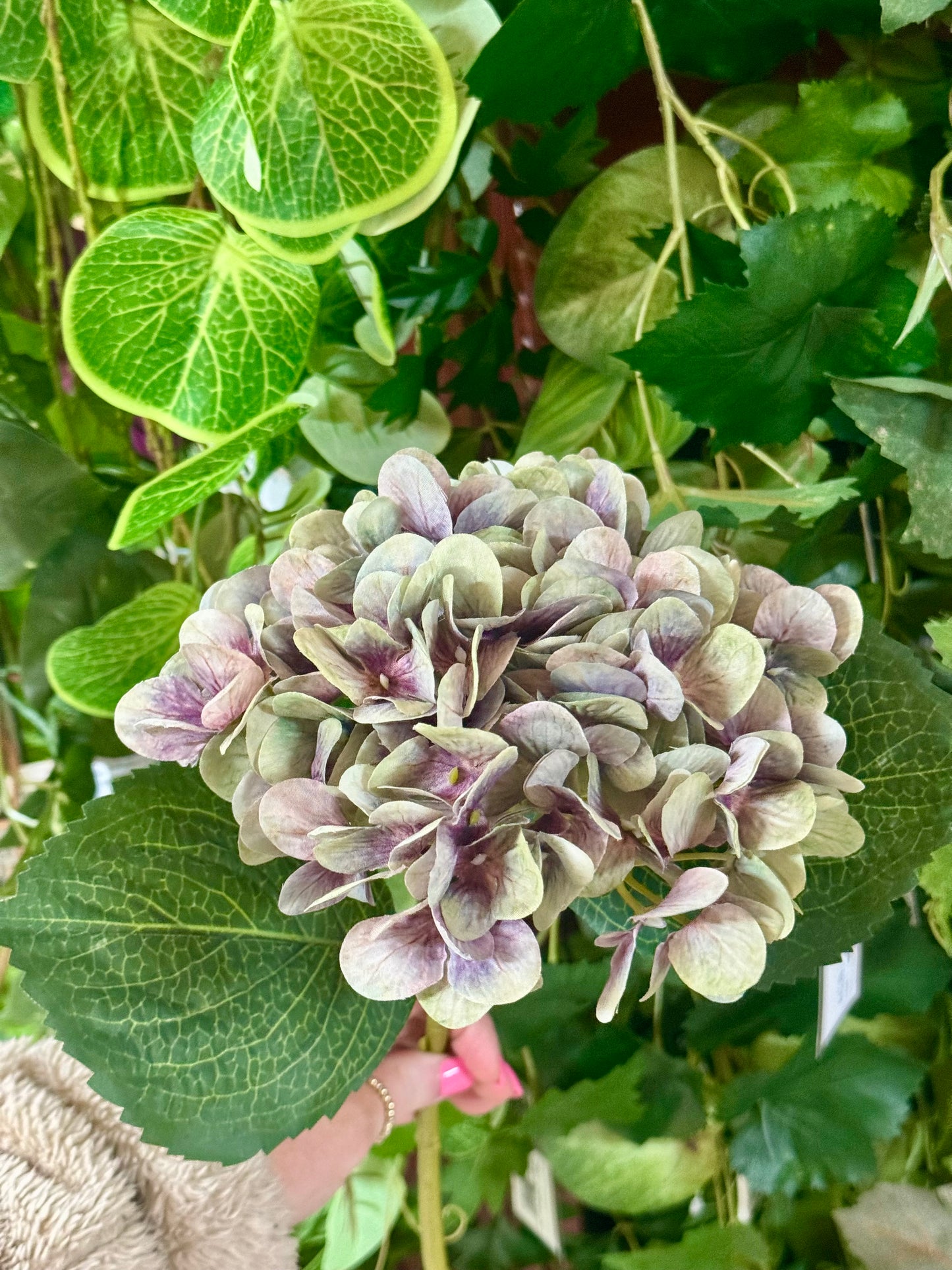 18 Inch Green And Lavender Hydrangea Stem