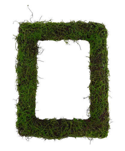 19 Inch Rectangle Moss And Vine Wreath