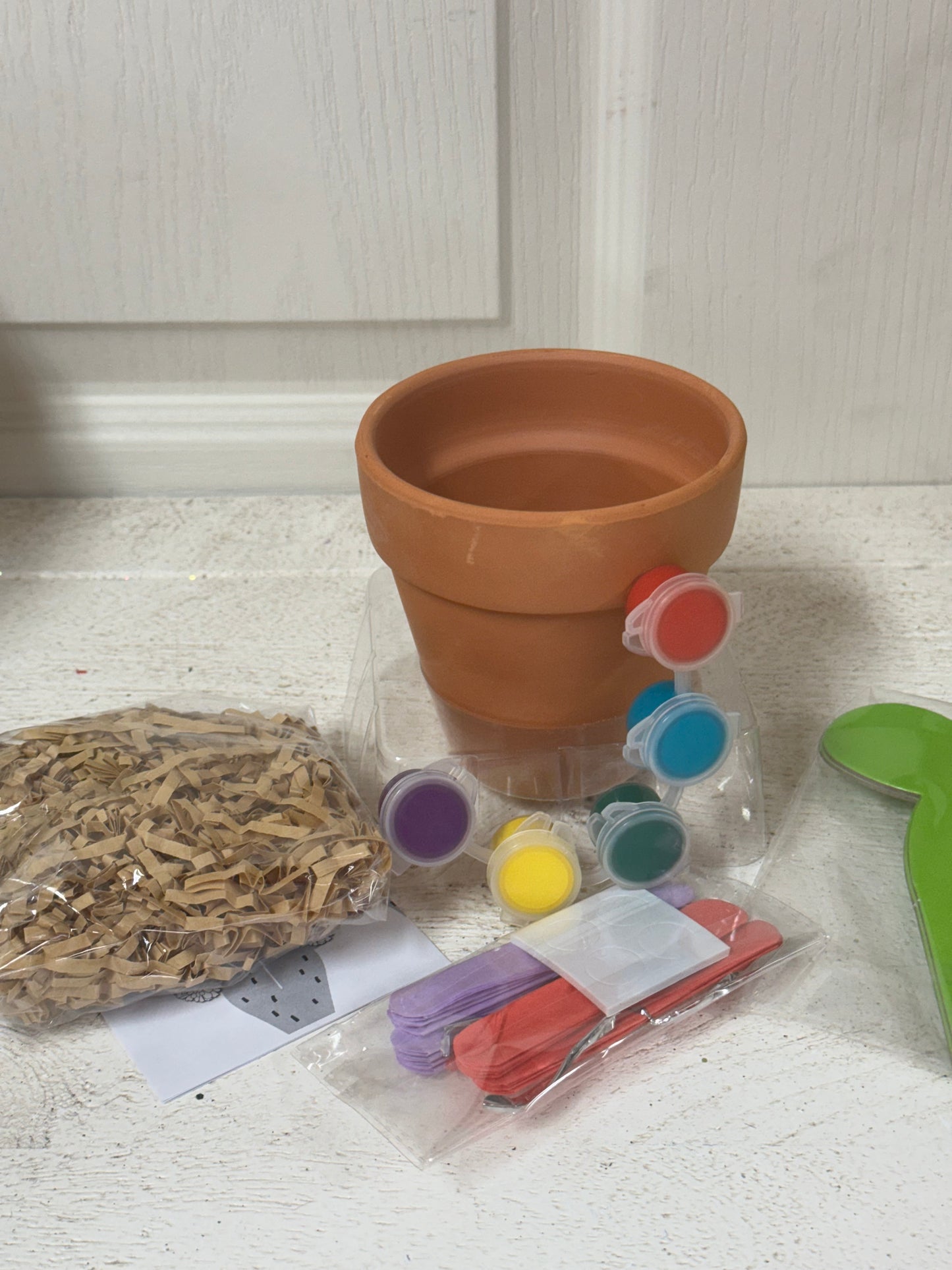 Paint Your Own Cactus Plant Kit