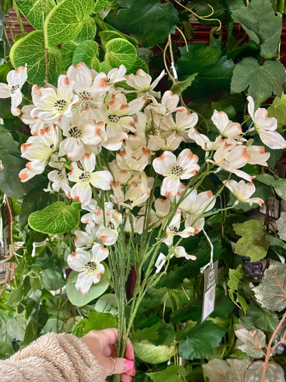 22 Inch Cream Dogwood Bush