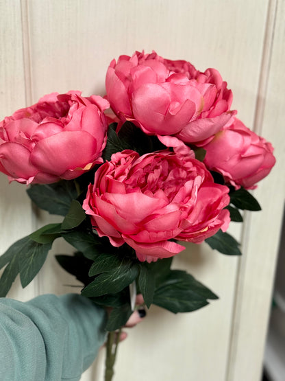 20 Inch Watermelon Pink Peony Bush