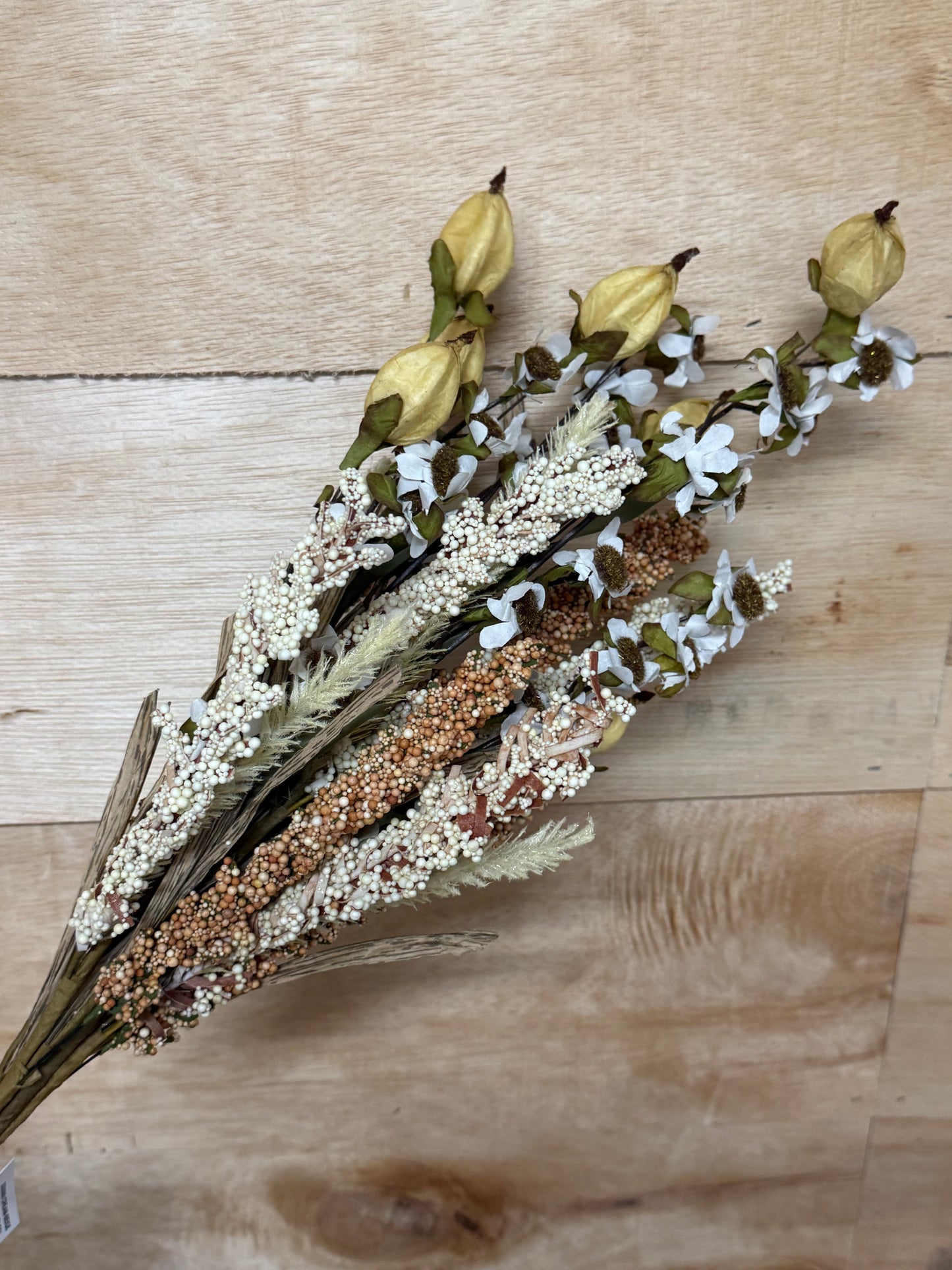 22 Inch Fall Wheat Laurent Daisy Bush