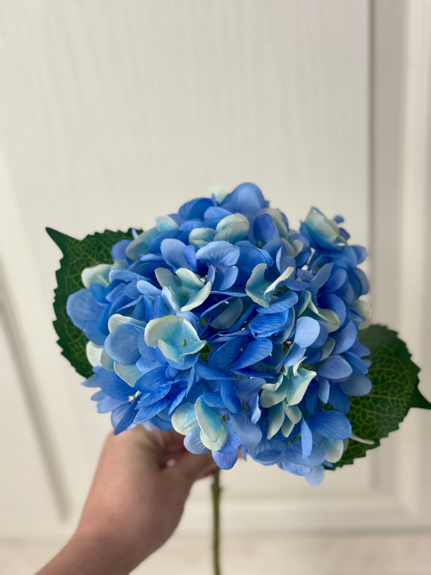 18 Inch Blue Hydrangea Stem