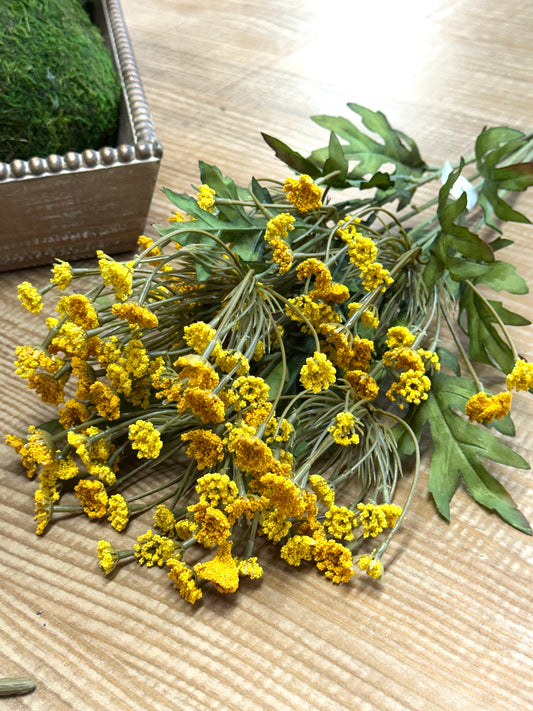 21 Inch Yellow Queen Ann Lace Bush
