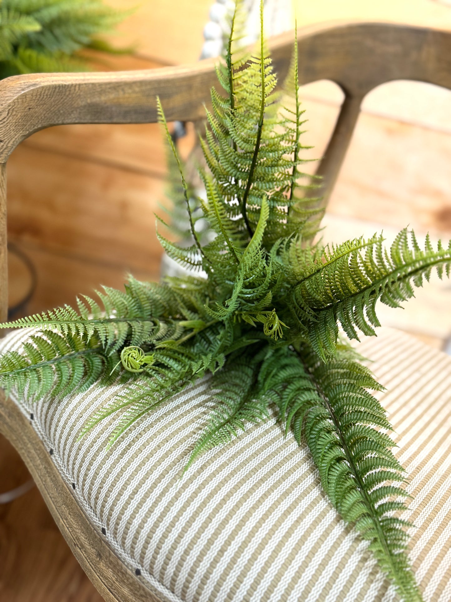 18 Inch Mountain Fern Bush