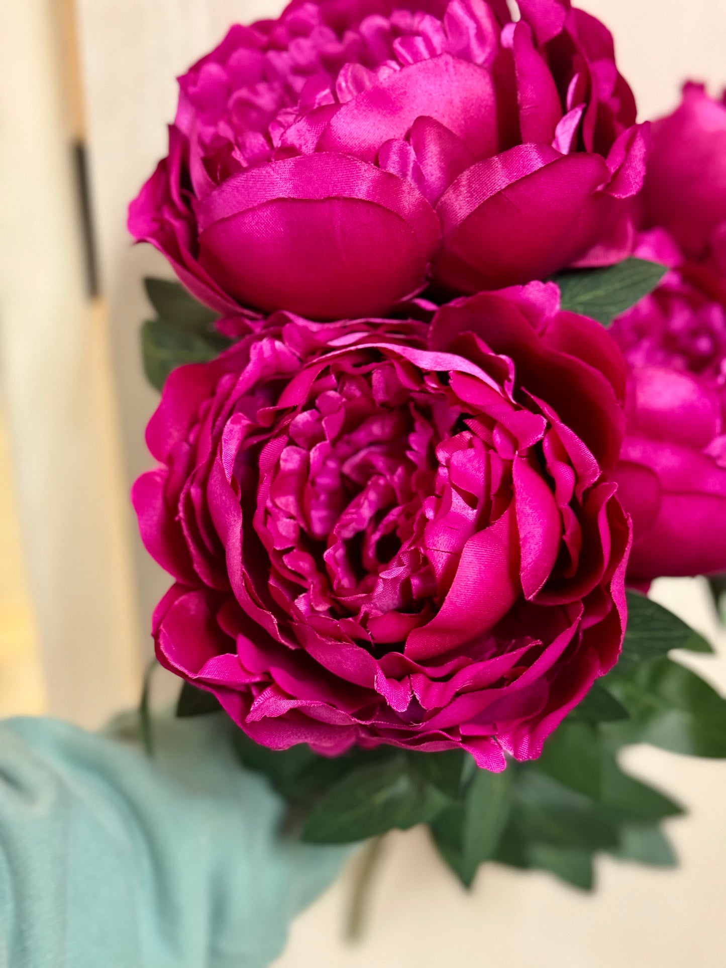 20 Inch Beauty Pink Peony Bush