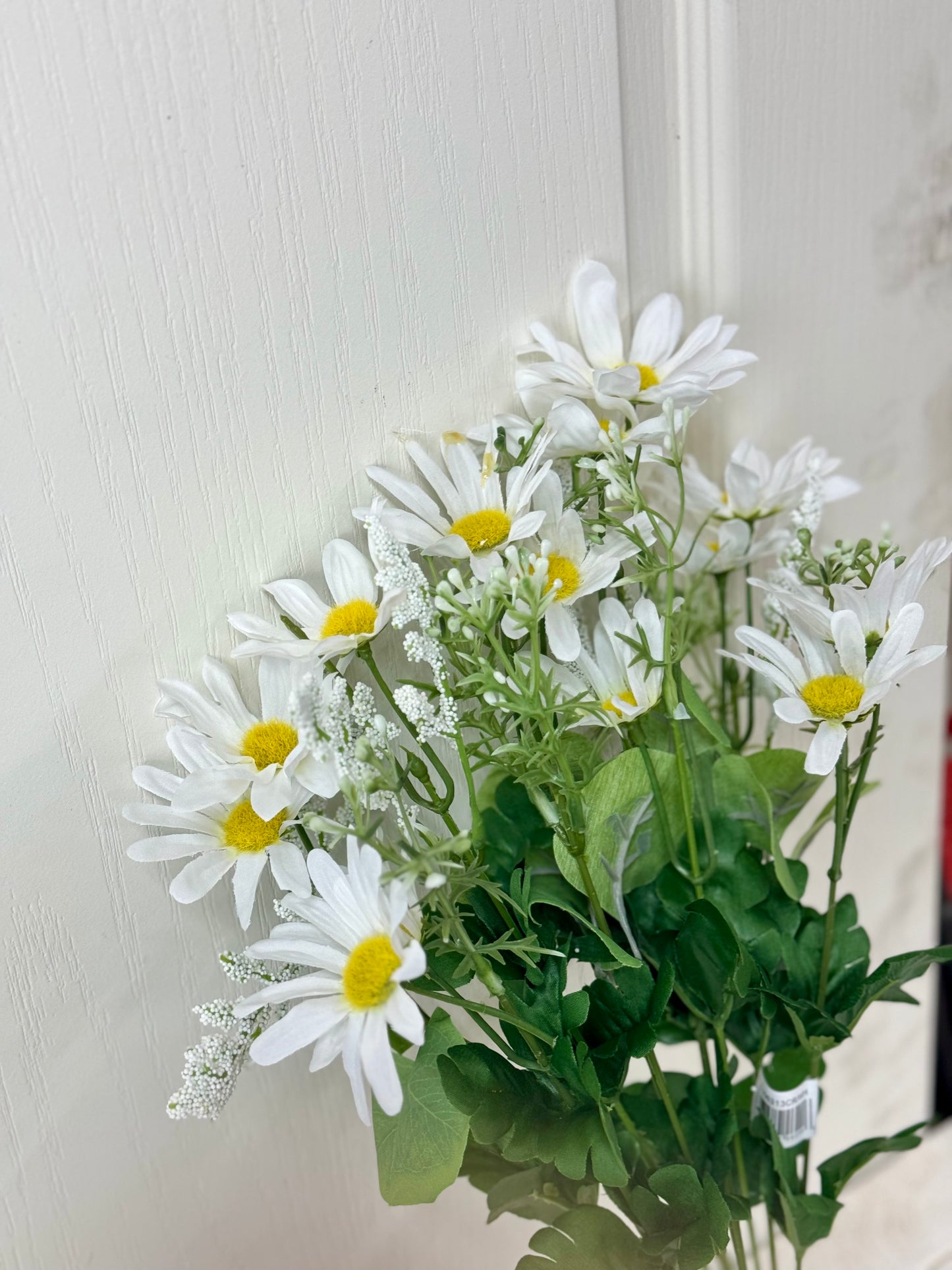 20 Inch White Daisy Mix Bush