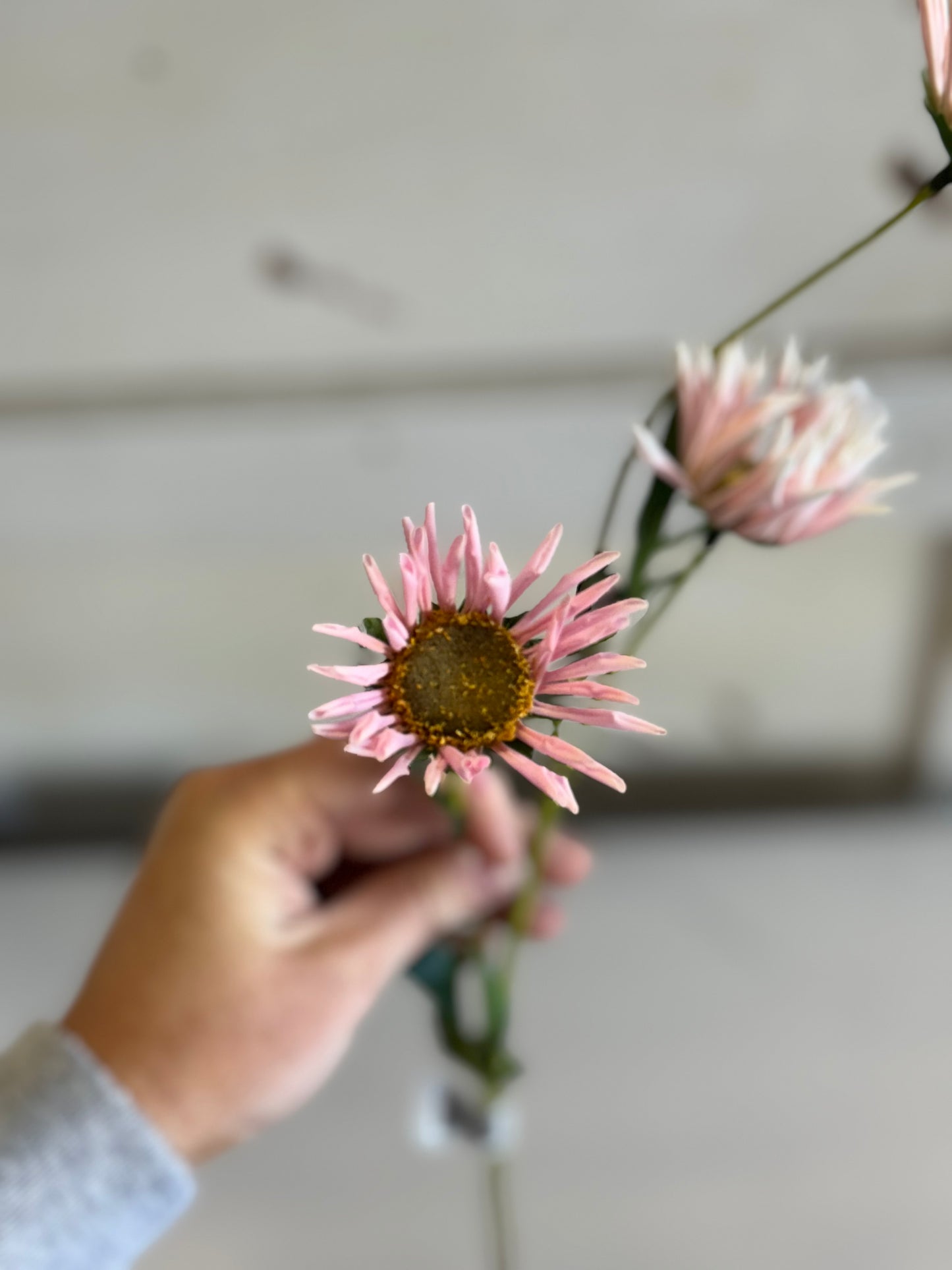 20 Inch Pink Daisy Stem