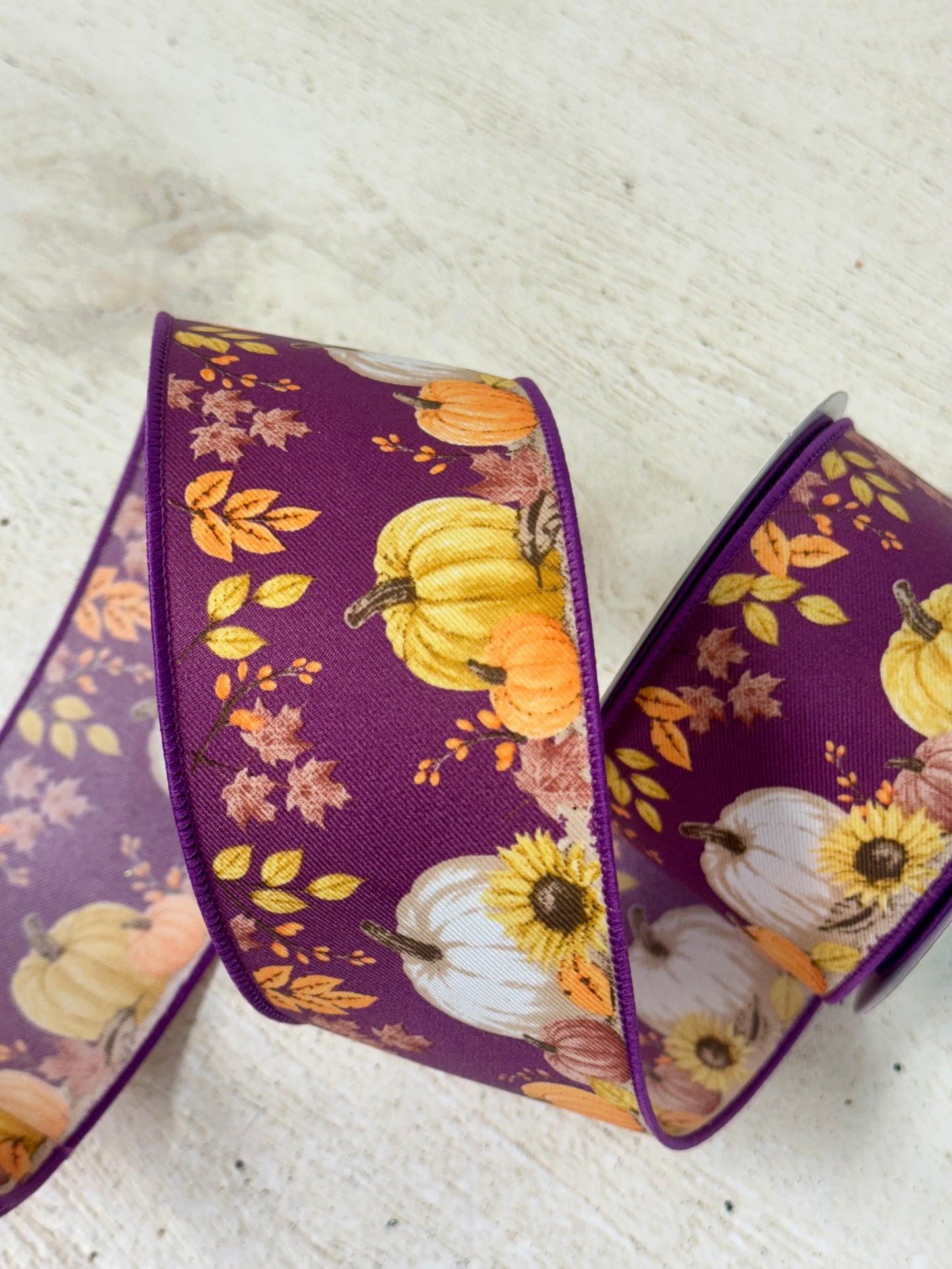 2.5 Inch By 10 Yard Pumpkins Foliage Ribbon