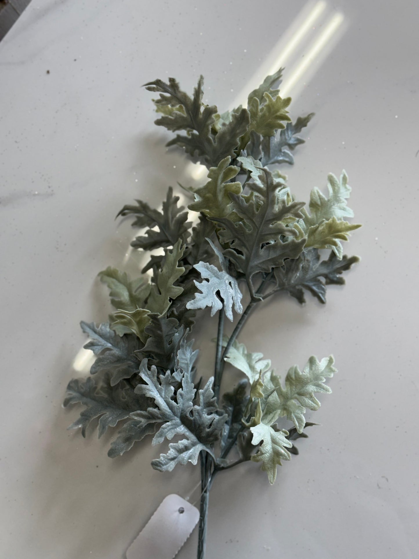 16 Inch Dusty Miller Spray