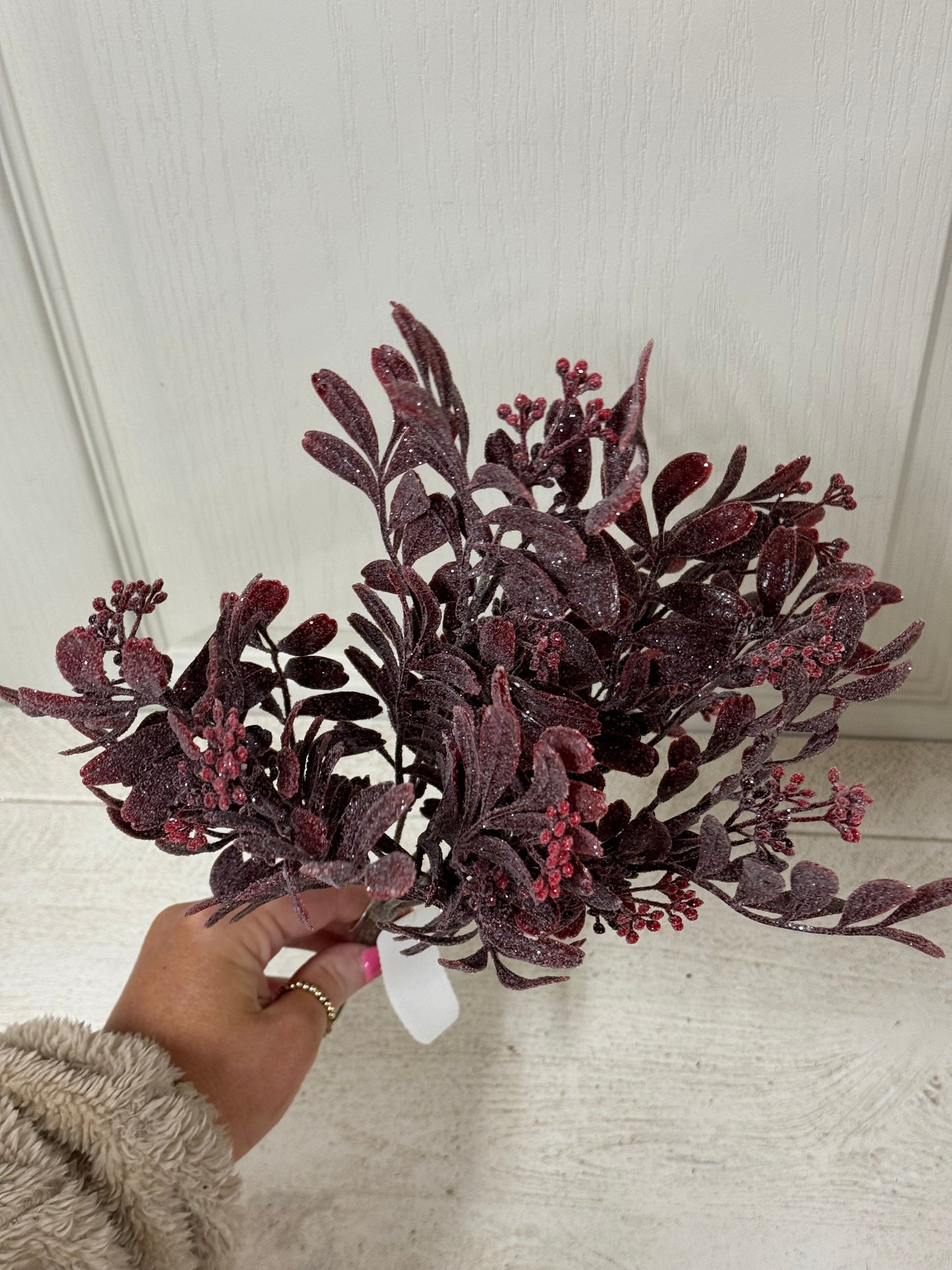 14 Inch Red Spice Leaf Bush