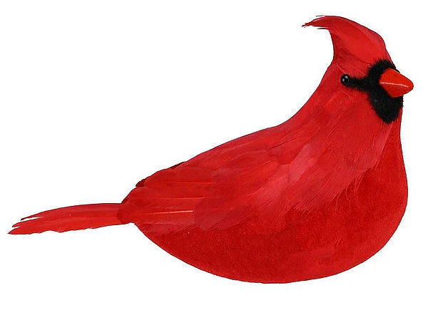 11 Inch Red Feather Cardinal