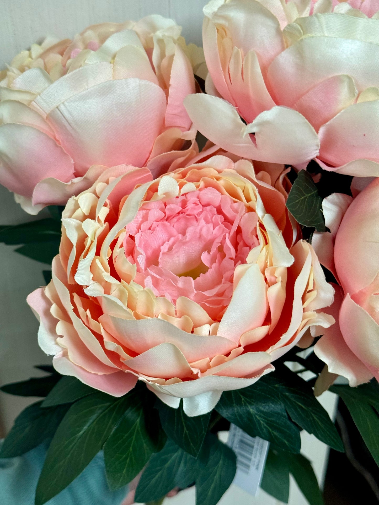 20 Inch Peony Soft Pink Bush