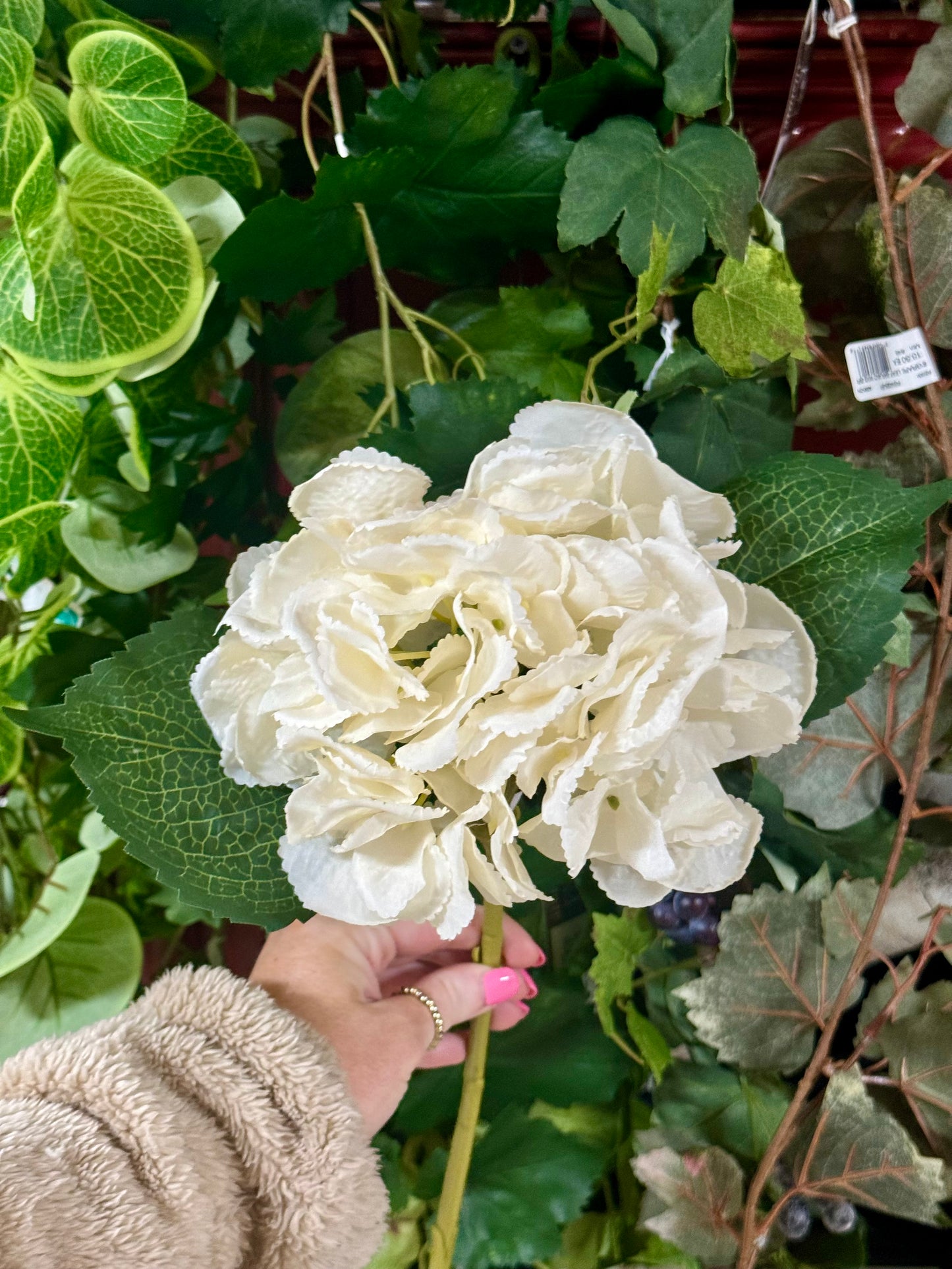 17.5 Inch Cream Hydrangea Stem