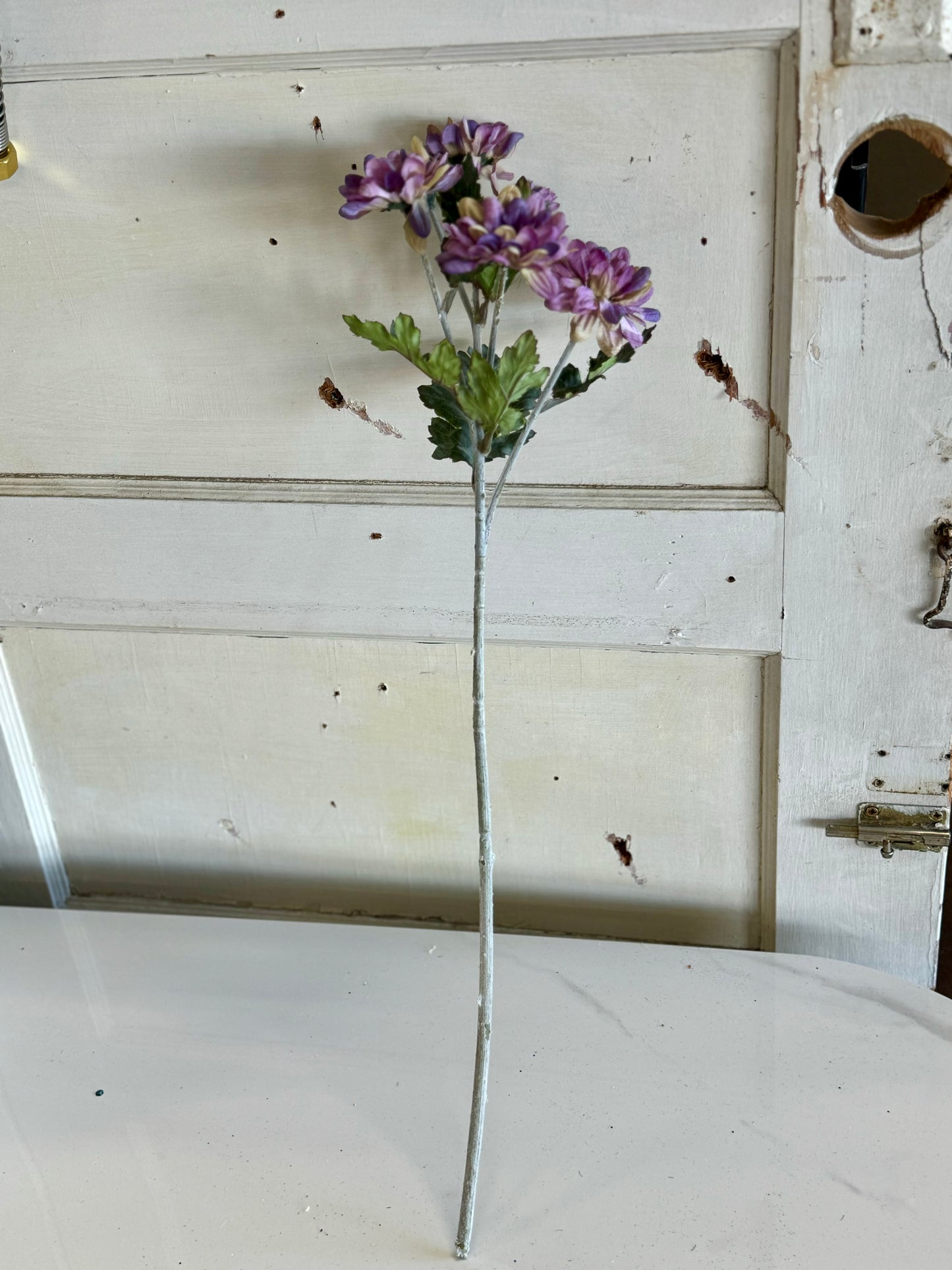 24 Inch Purple Marigold Daisy Stem