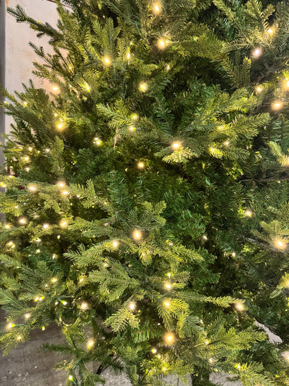 Home Decorators Collection 9 Foot Eastcastle Balsam Fir LED Pre Lit Tree Open Box