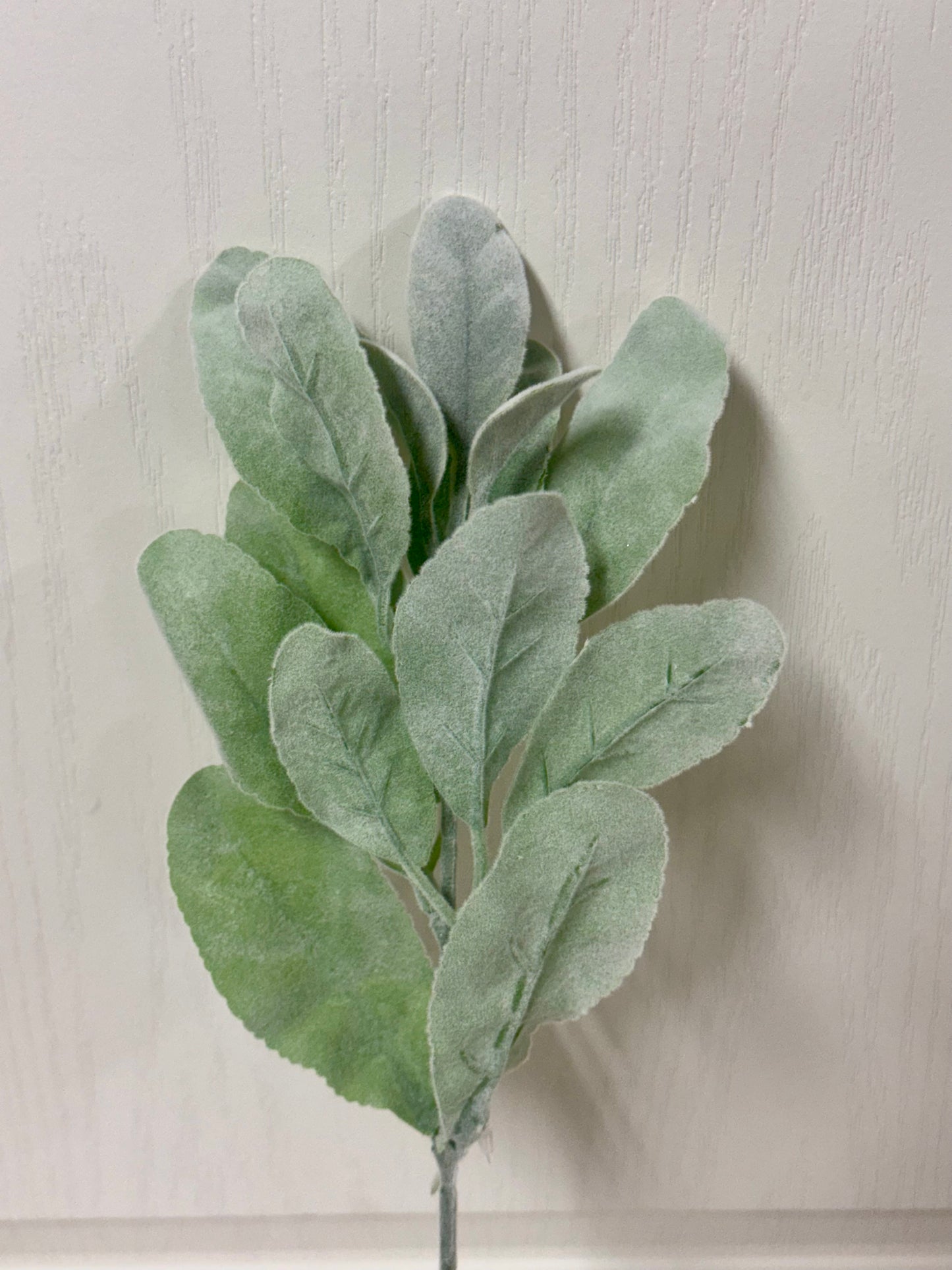 14 Inch Sage Green Flocked Lambs Ear Spray