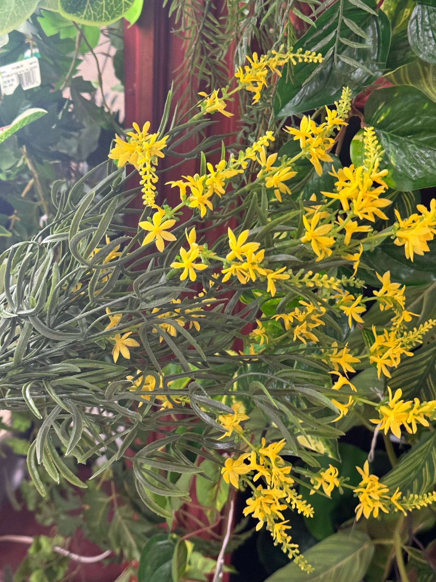 19 Inch Yellow And Green Spike Flower Bush