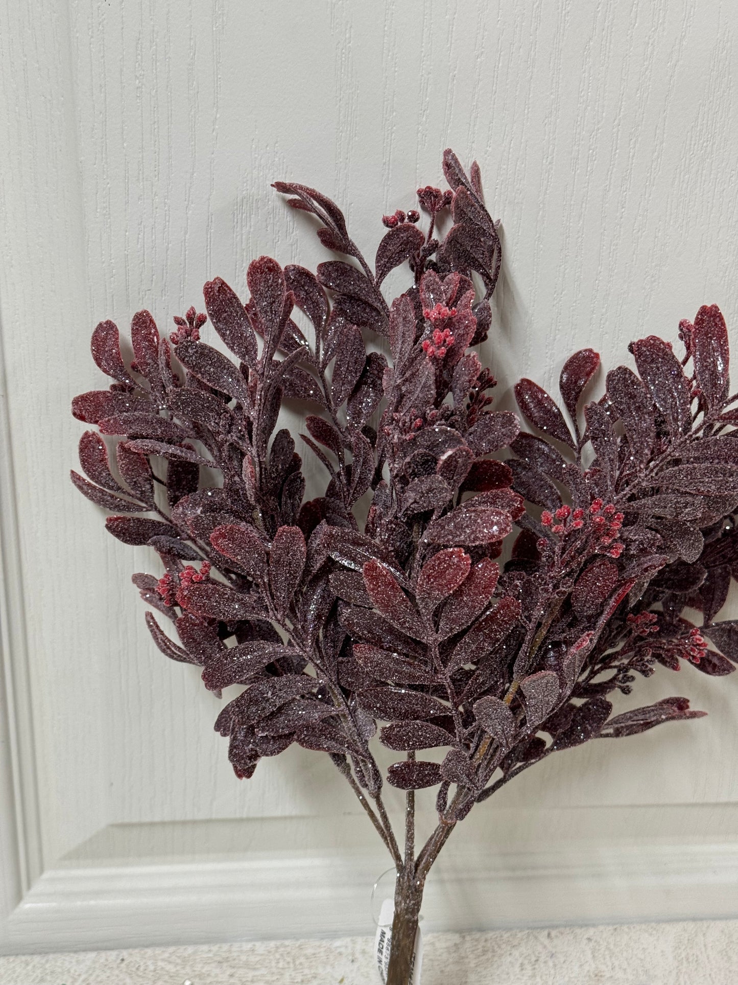 14 Inch Red Spice Leaf Bush