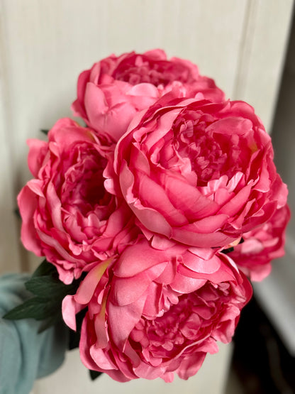 20 Inch Watermelon Pink Peony Bush