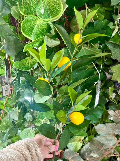 32 Inch Lemon Leaf Spray