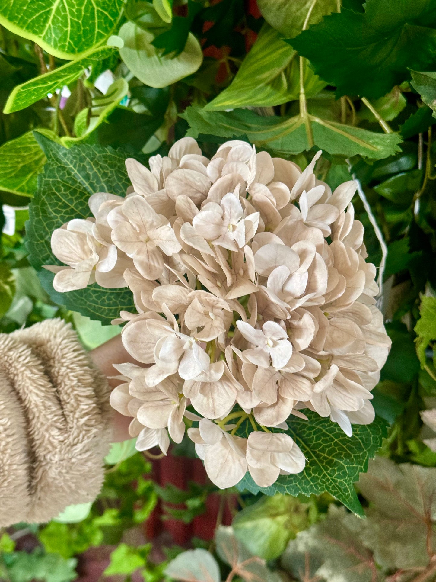 18 Inch Beige Hydrangea Stem